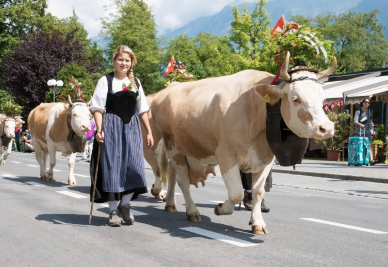 Switzerland’s National Day on August 1st